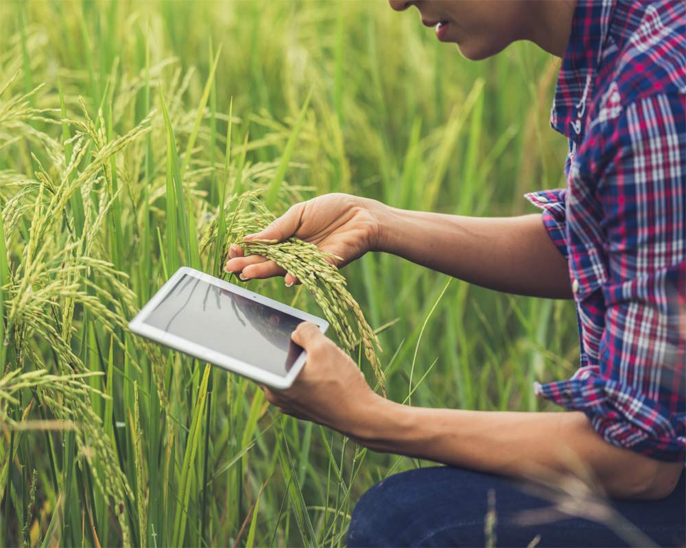 Verso il futuro dell’agroalimentare tramite dispositivi IoT based