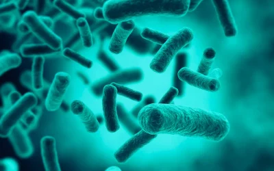 SCUDO: elastomeri anti-biofilm, dalla zootecnia al medicale