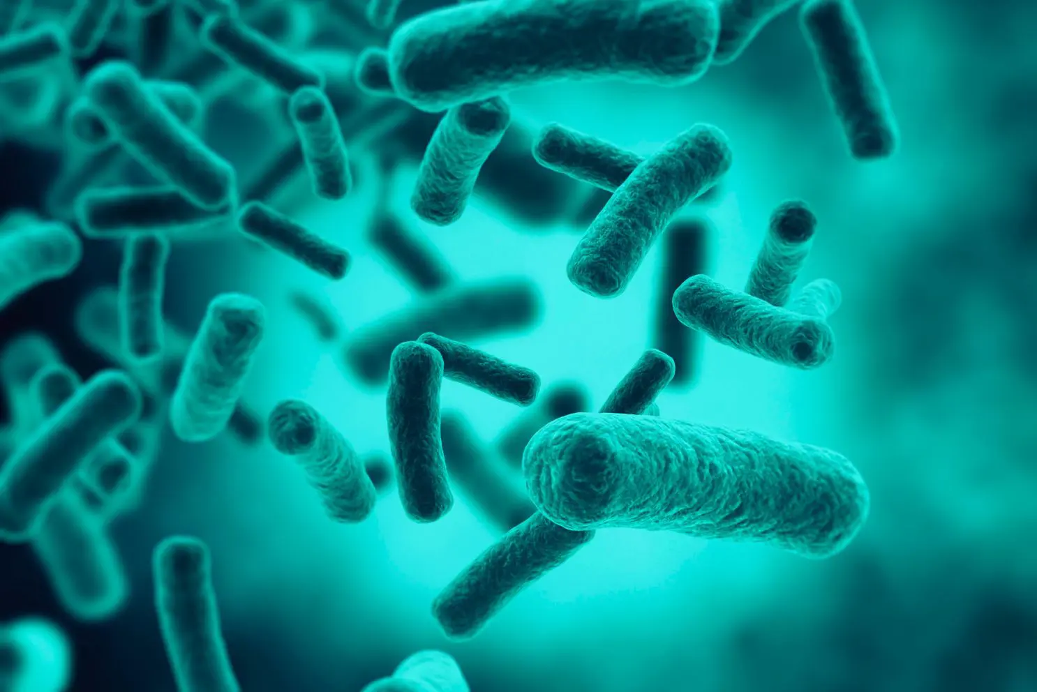SCUDO_ elastomeri anti-biofilm, dalla zootecnia al medicale